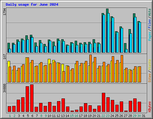 Daily usage for June 2024