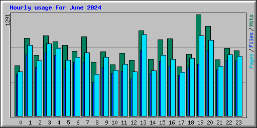 Hourly usage for June 2024