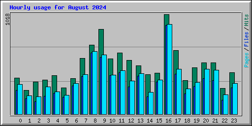 Hourly usage for August 2024