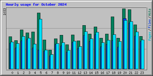 Hourly usage for October 2024